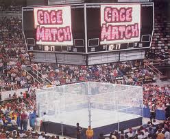 steel cage