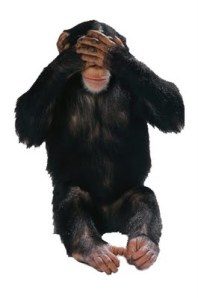 See-No-Evil-Know-No-Evil