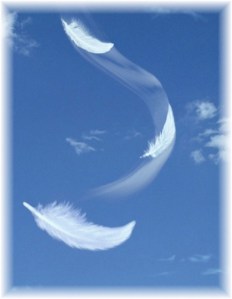 bd281c97d40887d9f54d603c89a51585