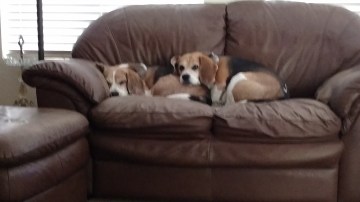 img_20160324_080751942